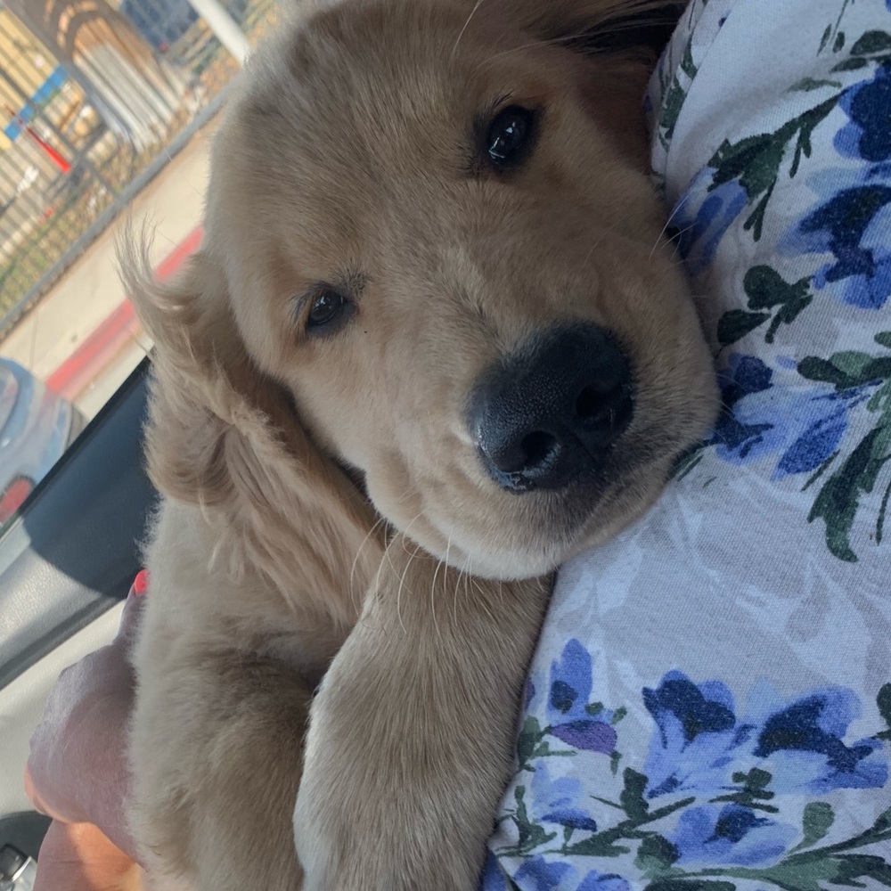 Meet your Posher, Beverly